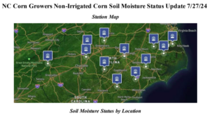NC Corn Growers Non-Irrigated Corn Soil Moisture Status Update 7/27/24